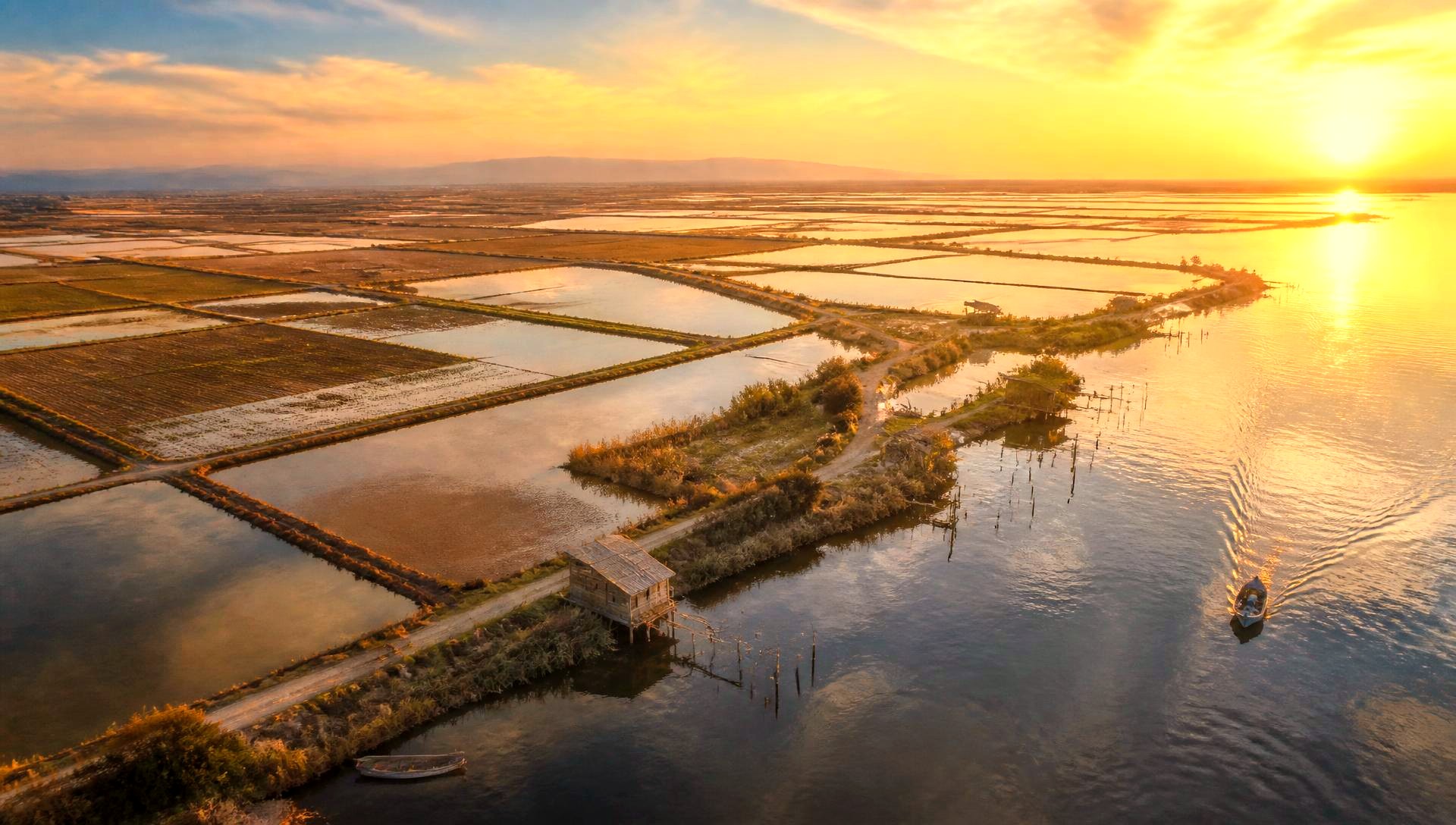 Vista aérea del Delta del Ebro al atardecer con arrozales y canales